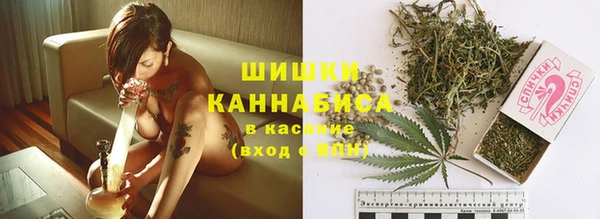 spice Верхний Тагил
