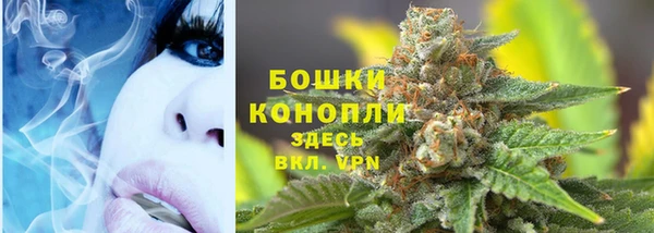 дурь Верея