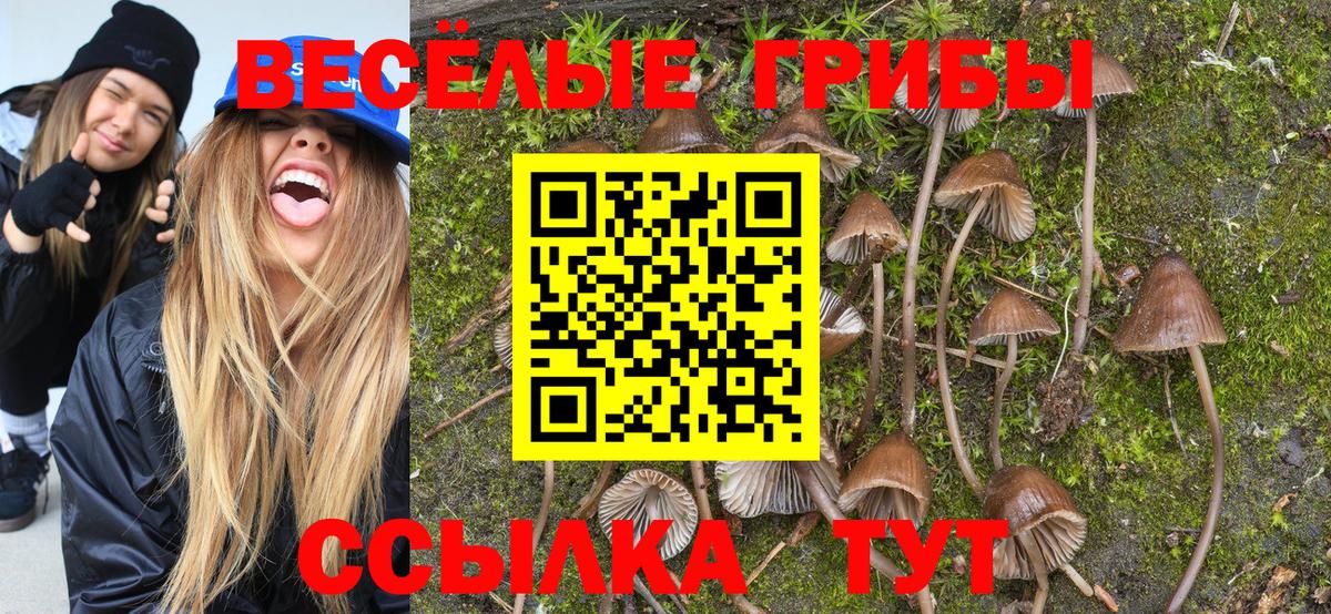 Вичуга  Псилоцибиновые грибы GOLDEN TEACHER  Псилоцибиновые грибы Magic Shrooms  Вход с VPN 