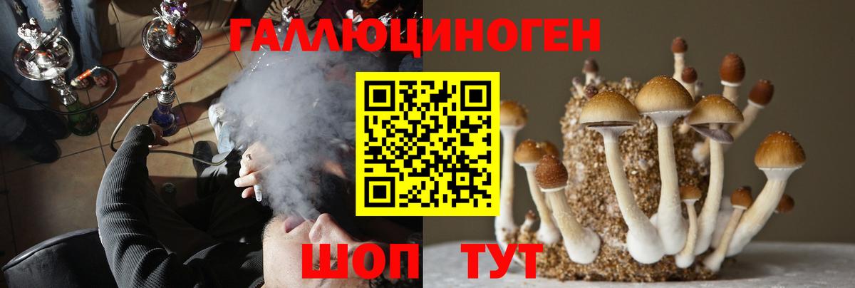 Галлюциногенные грибы Cubensis  Вичуга 