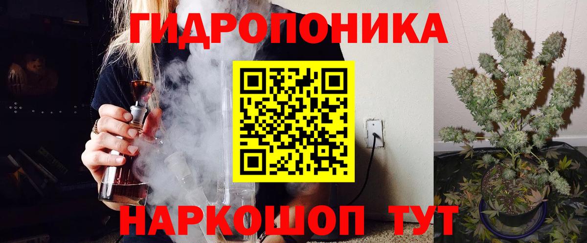 МАРИХУАНА конопля Вичуга